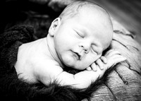 _DGP2593-Edit-3