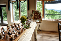 Megan and David- North Georgia Mountain House